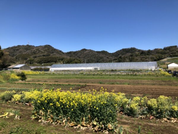 tsukuihama tsukuihama, la serre à la ferme, vivre à tokyo, excursion