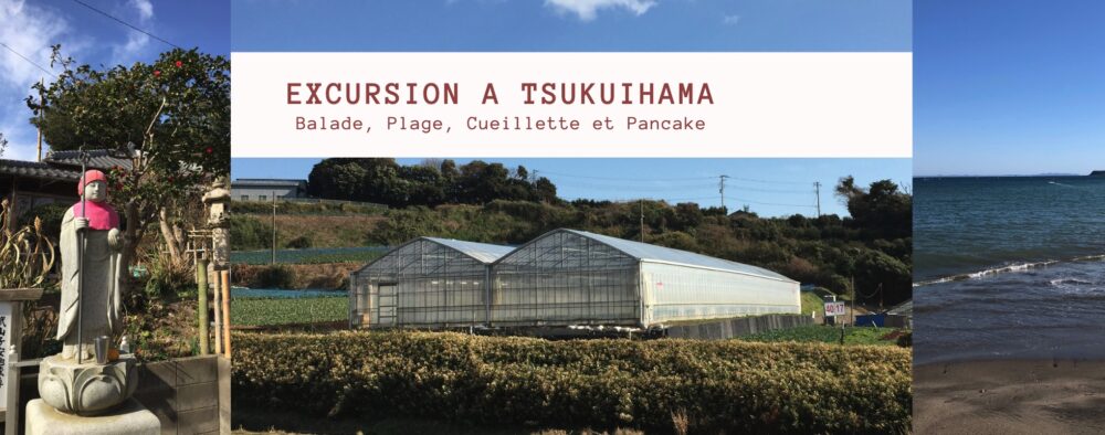 tsukuihama, la serre à la ferme, vivre à tokyo, excursion