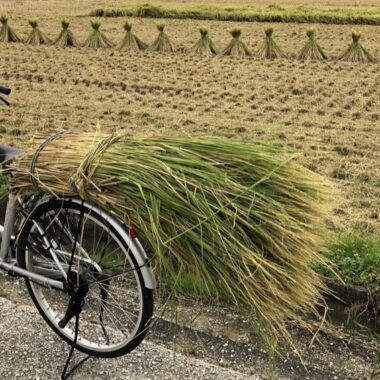 faire du vélo au Japon, visiter le japon, pocket wifi
