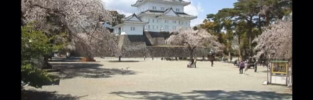 vivre à tokyo, visiter le japon