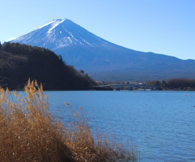 vivre à tokyo, visiter le japon, mont fuji