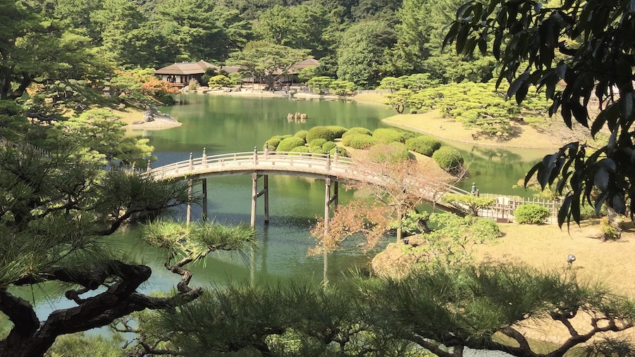 jardin japonais, vivre à tokyo