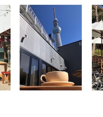 terrasse à tokyo, vivre à tokyo