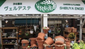 jardinerie a tokyo, vivre a Tokyo