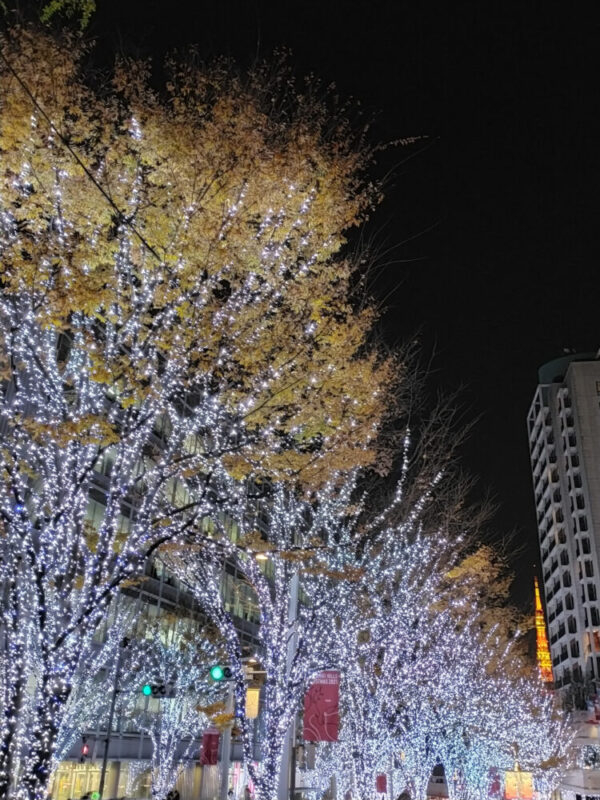 Arbres illuminés Roppongi, Tokyo