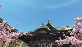 Sakura Jingu