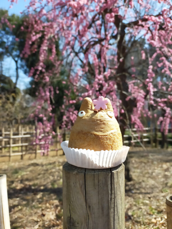 chou Totoro Shiro-Hige's Cream Puff Factory et prunier du parc Hanegi