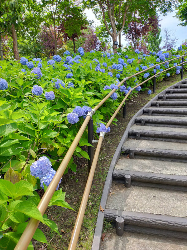 escalier à hortensias à Odaiba