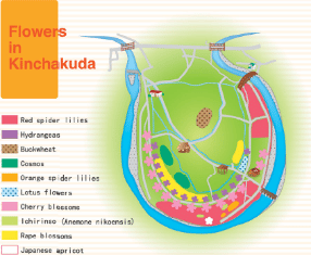 plan du parc Kinchakuda, Saitama