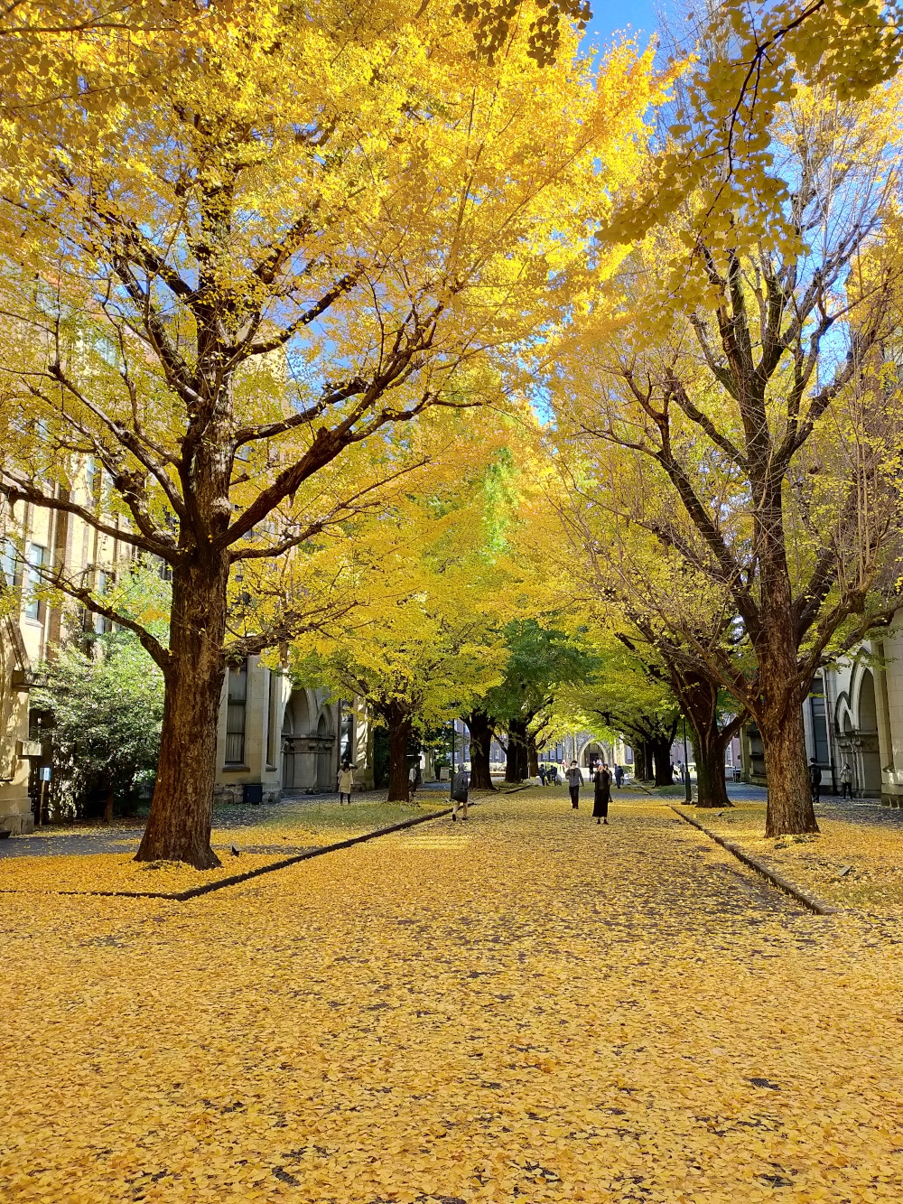 Université de Tokyo