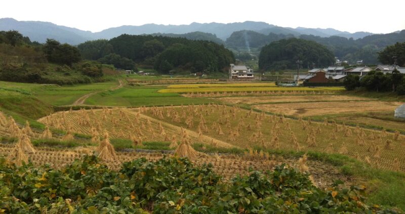 Excursions autour de Nara